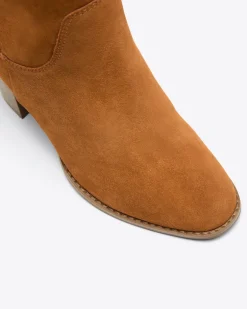 Bailey Tall Suede Boot