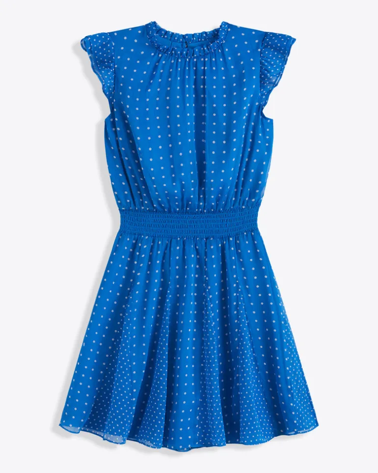 Camellia Mini Dress in Blue Dots