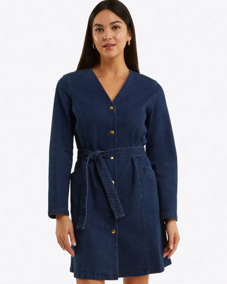 Colbie Snap Front Dress in Denim
