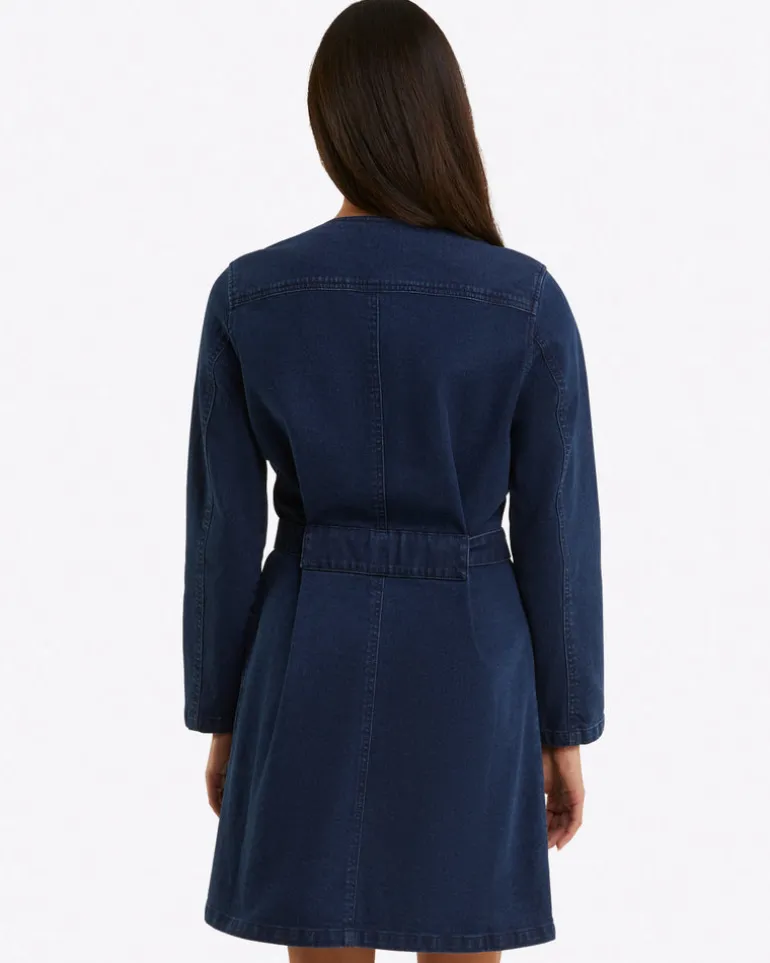 Colbie Snap Front Dress in Denim