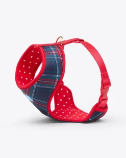 Dog Harness