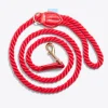 Dog Leash