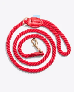 Dog Leash