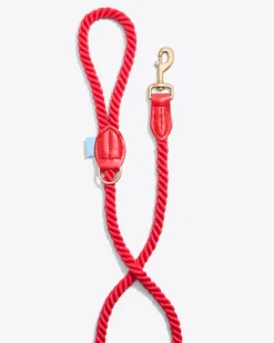 Dog Leash