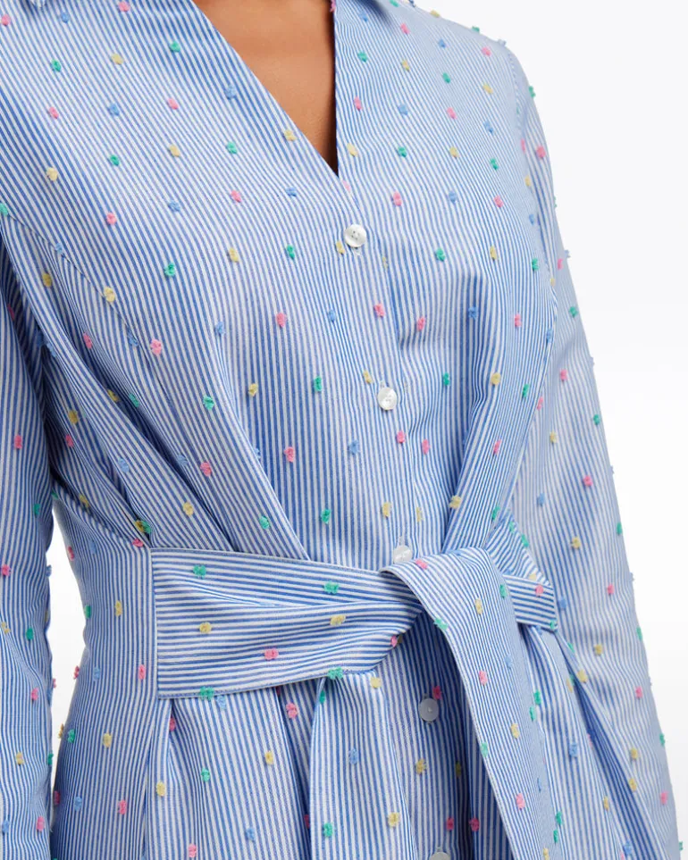 Layla Shirtdress in Blue Stripe