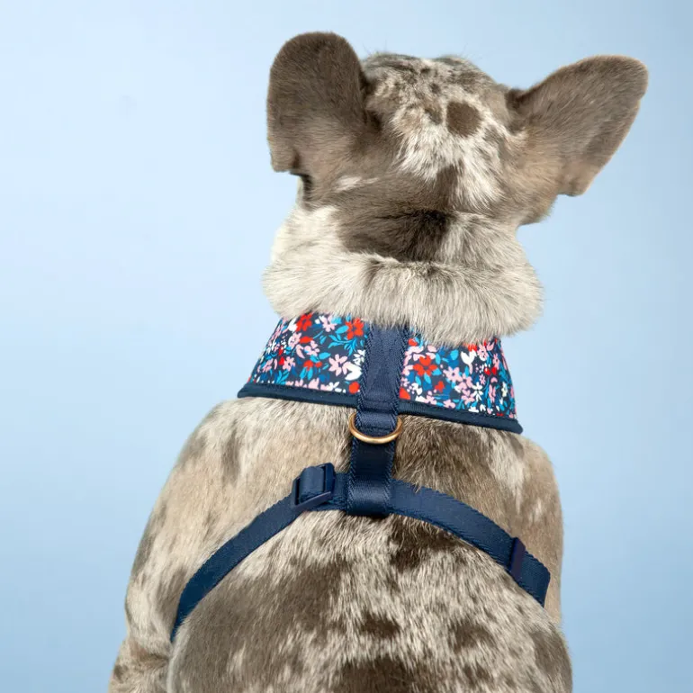 Reversible Dog Harness