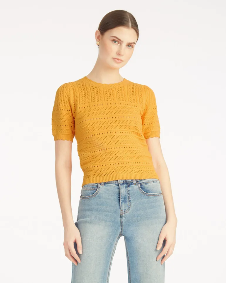 Short Sleeve Pointelle Sweater