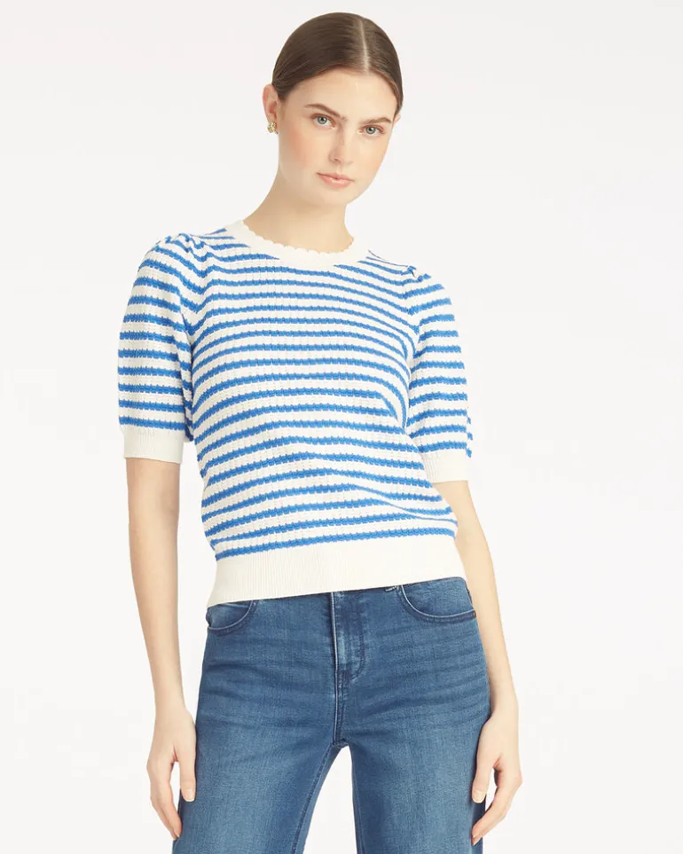 Short Sleeve Pointelle Sweater