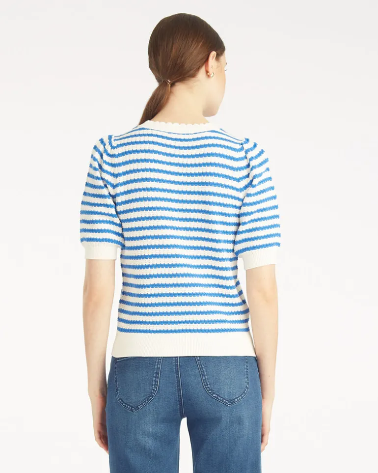 Short Sleeve Pointelle Sweater