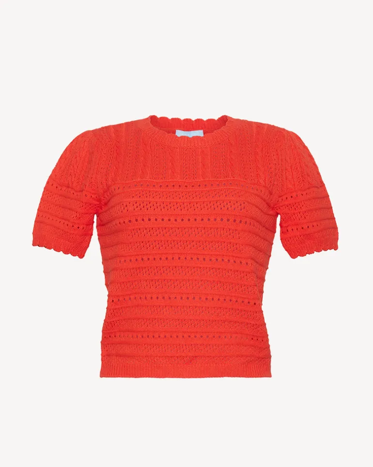 Short Sleeve Pointelle Sweater