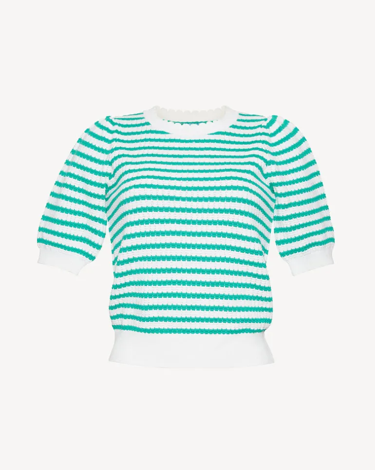 Short Sleeve Pointelle Sweater